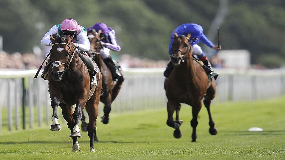 Frankel at York in 2012